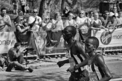 三亿体育体育登录-德国不敌匈牙利，欧足联小组赛晋级梦魇