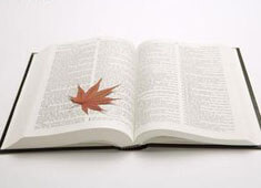 强强对碰！南京东风队对杭州安仁队，实力角逐