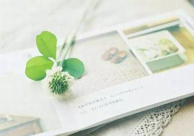 热那亚新援表现出色，有望成为意甲黑马