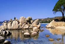 三亿体育体育网页版登录入口-立陶宛队员实力超群，一路领先获胜的简单介绍