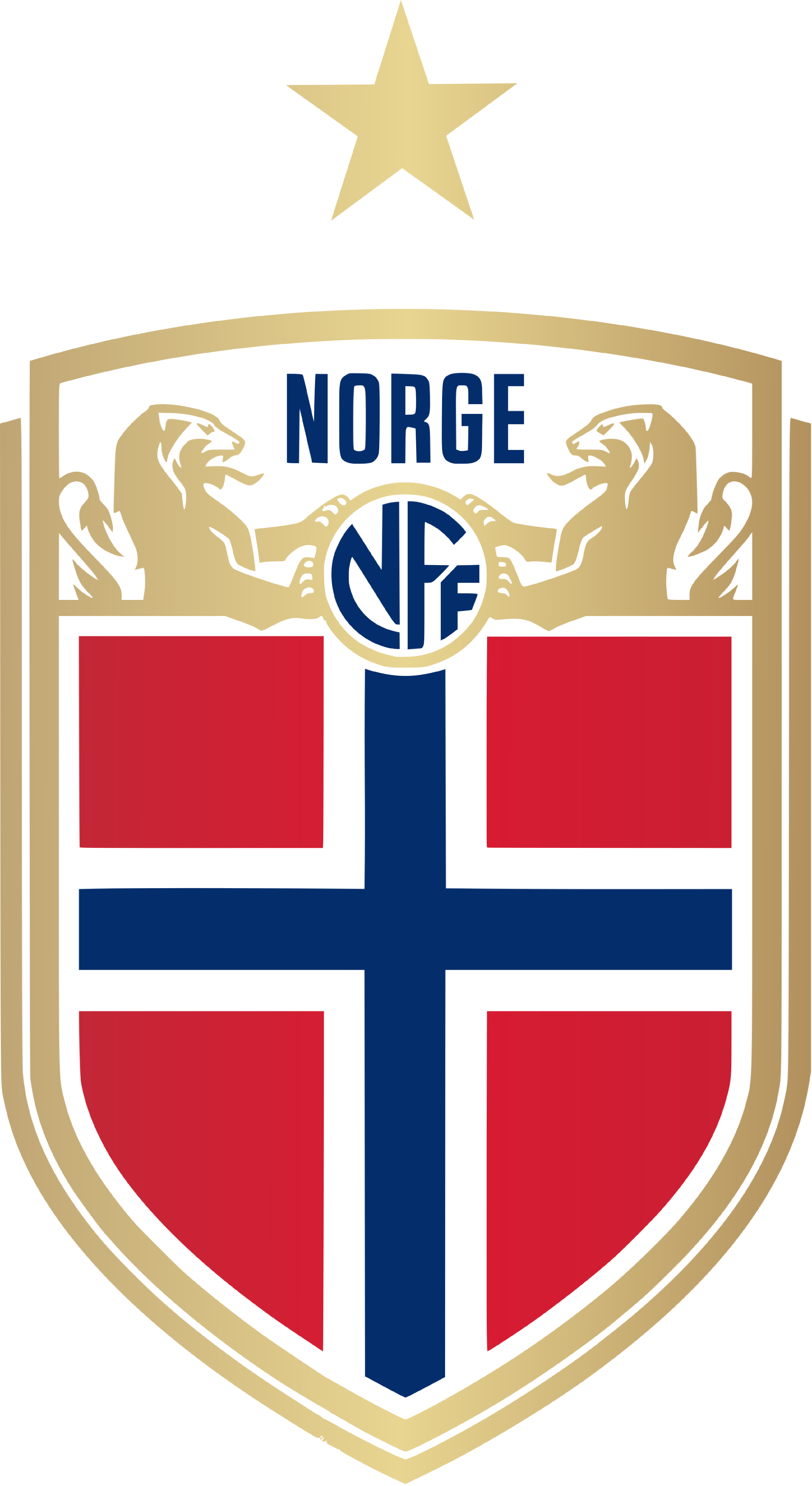 挪威足球队在困难中坚持拼搏成功晋级 挪威足球队在困难中坚持拼搏成功晋级