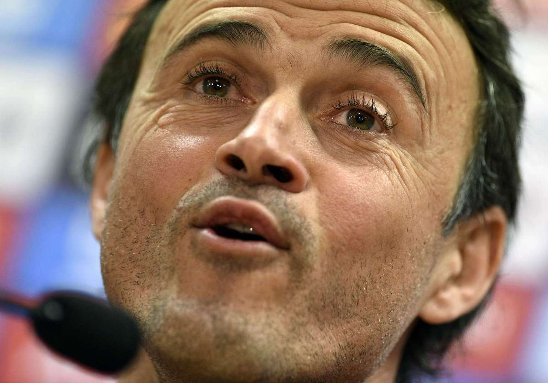 关于西班牙强势:波兰崇拜,胜券在握的信息 关于西班牙强势:波兰崇拜,胜券在握的信息